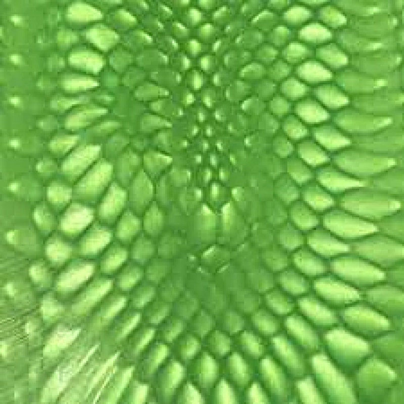 Juma- "Green Mamba"- Scales and Blocks