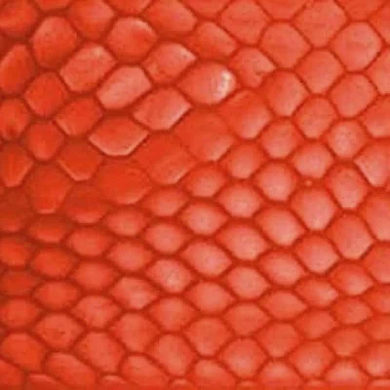 Juma- "Magma Dragon"- Scales and Blocks