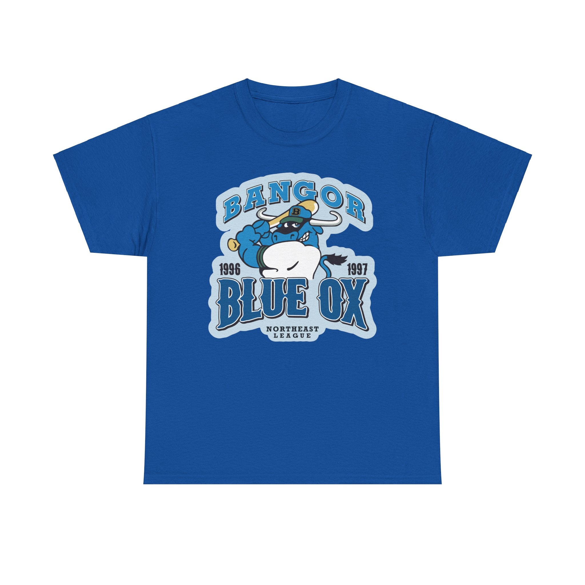AMERICAN FRESHMAN BLUE DEVILS Tシャツ L AMERICAN FRESHMAN BLUE DEVILS Tシャツ L