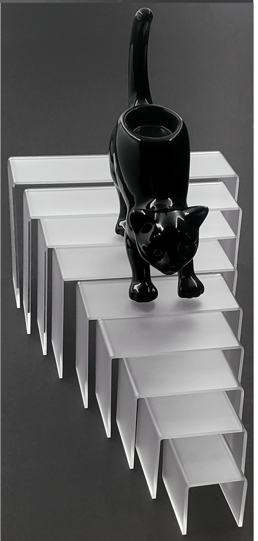 Translucent Riser T'z Tagz Any 5-Inch-Deep Frosted Translucent Acrylic Riser Display ...