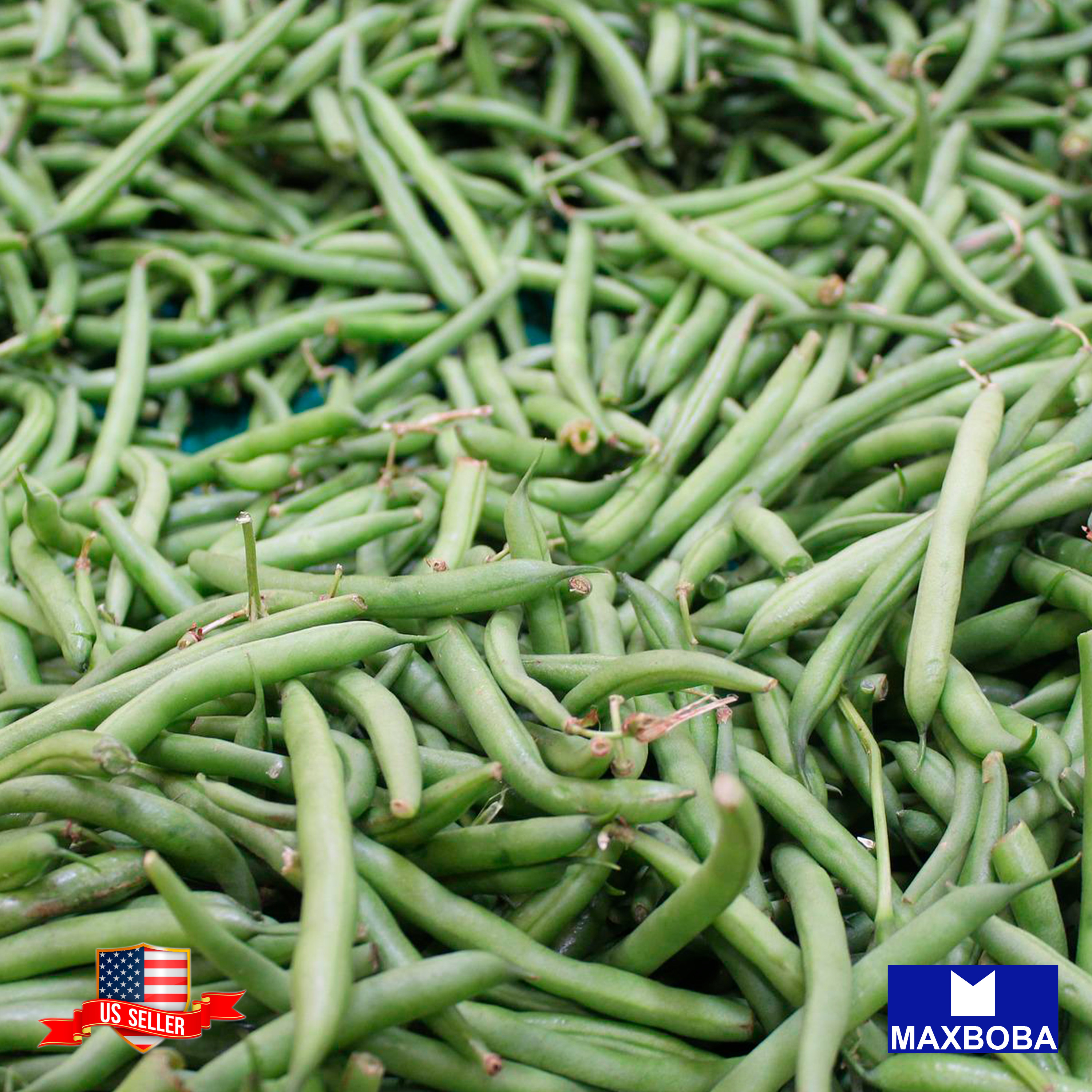 Fresh!! Bean Seeds Non-GMO Heirloom Vegetable - Picture 7 of 31