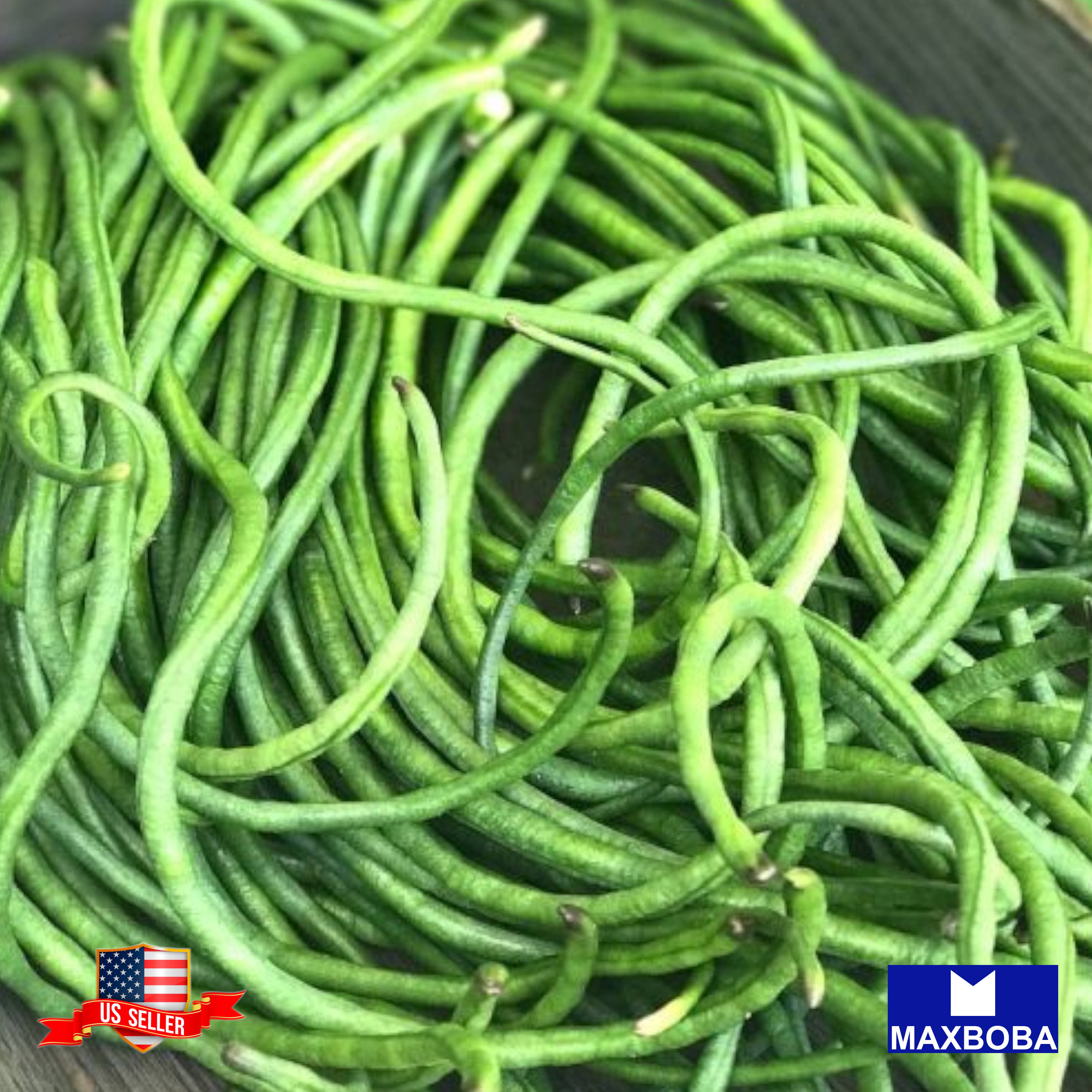 Fresh!! Bean Seeds Non-GMO Heirloom Vegetable - Picture 8 of 31