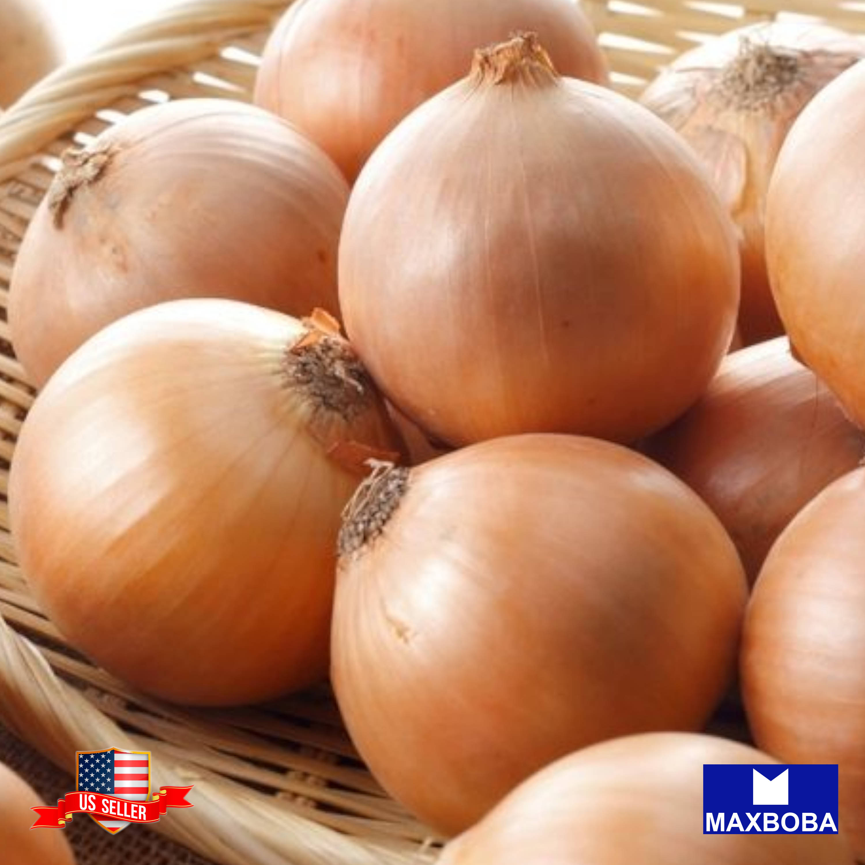 Fresh!! Onion Seeds Non-GMO Heirloom Vegetable - Picture 10 of 25
