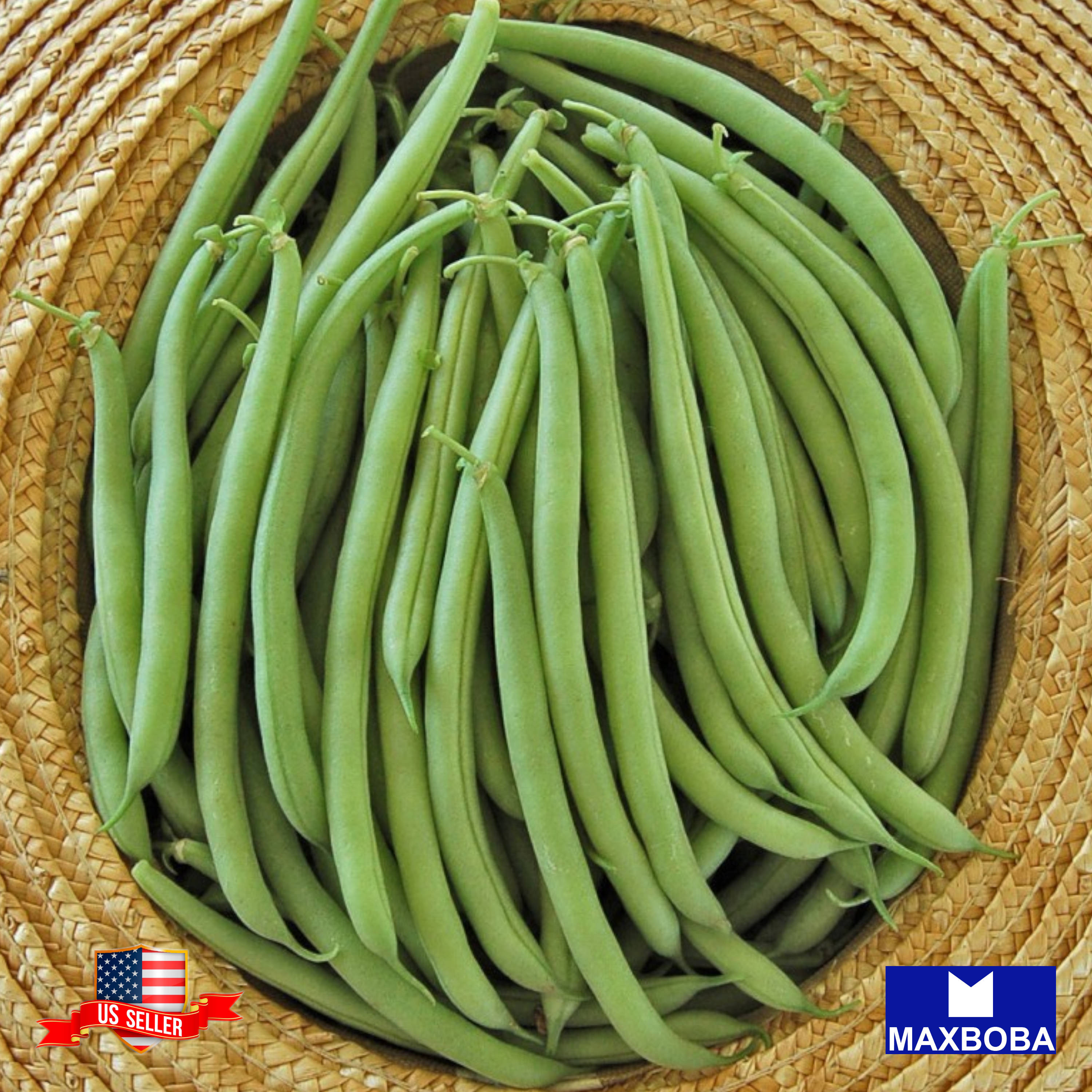 Fresh!! Bean Seeds Non-GMO Heirloom Vegetable - Picture 12 of 31