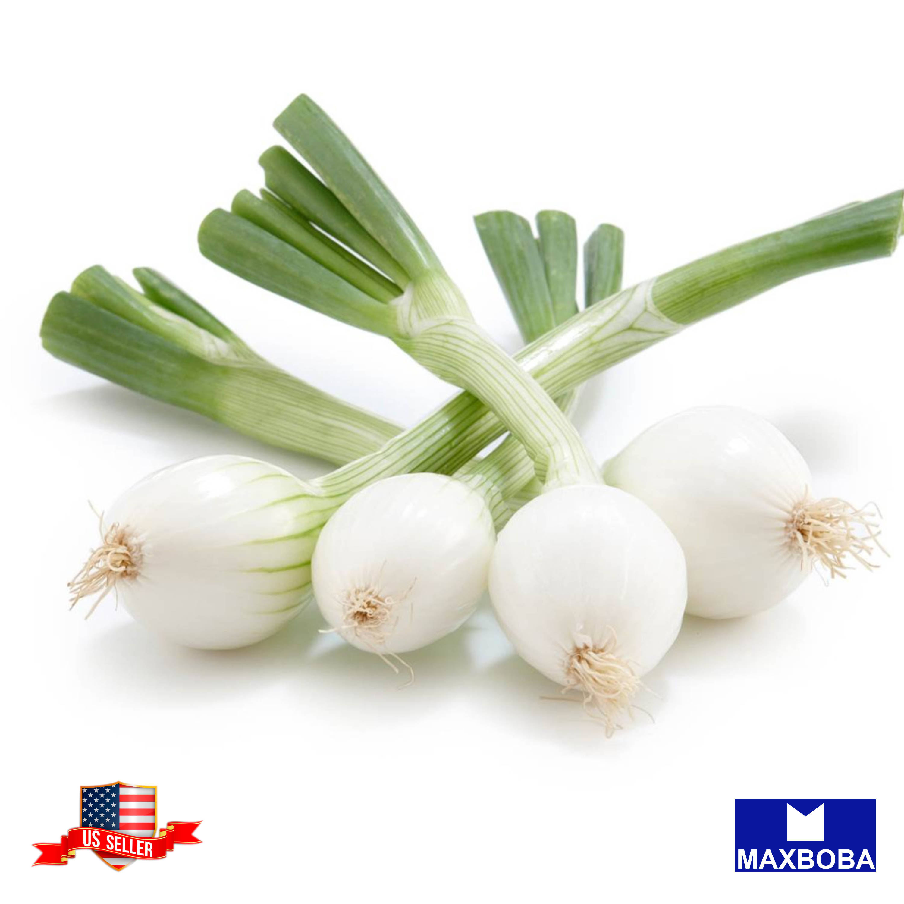 Fresh!! Onion Seeds Non-GMO Heirloom Vegetable - Picture 12 of 25