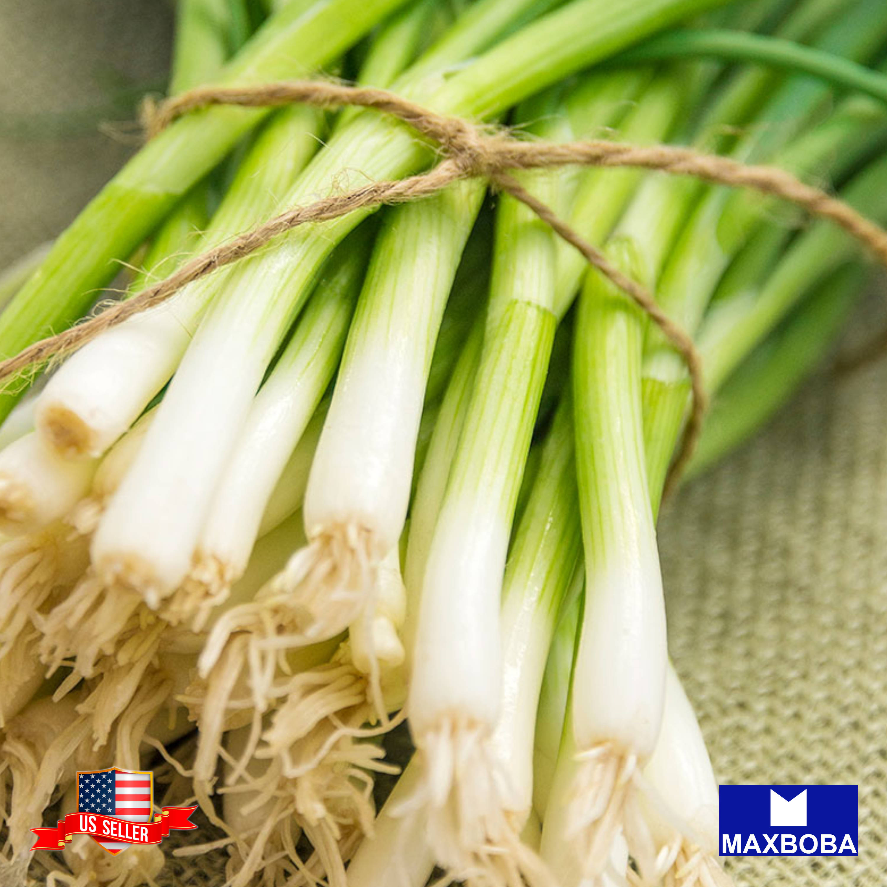 Fresh!! Onion Seeds Non-GMO Heirloom Vegetable - Picture 14 of 25