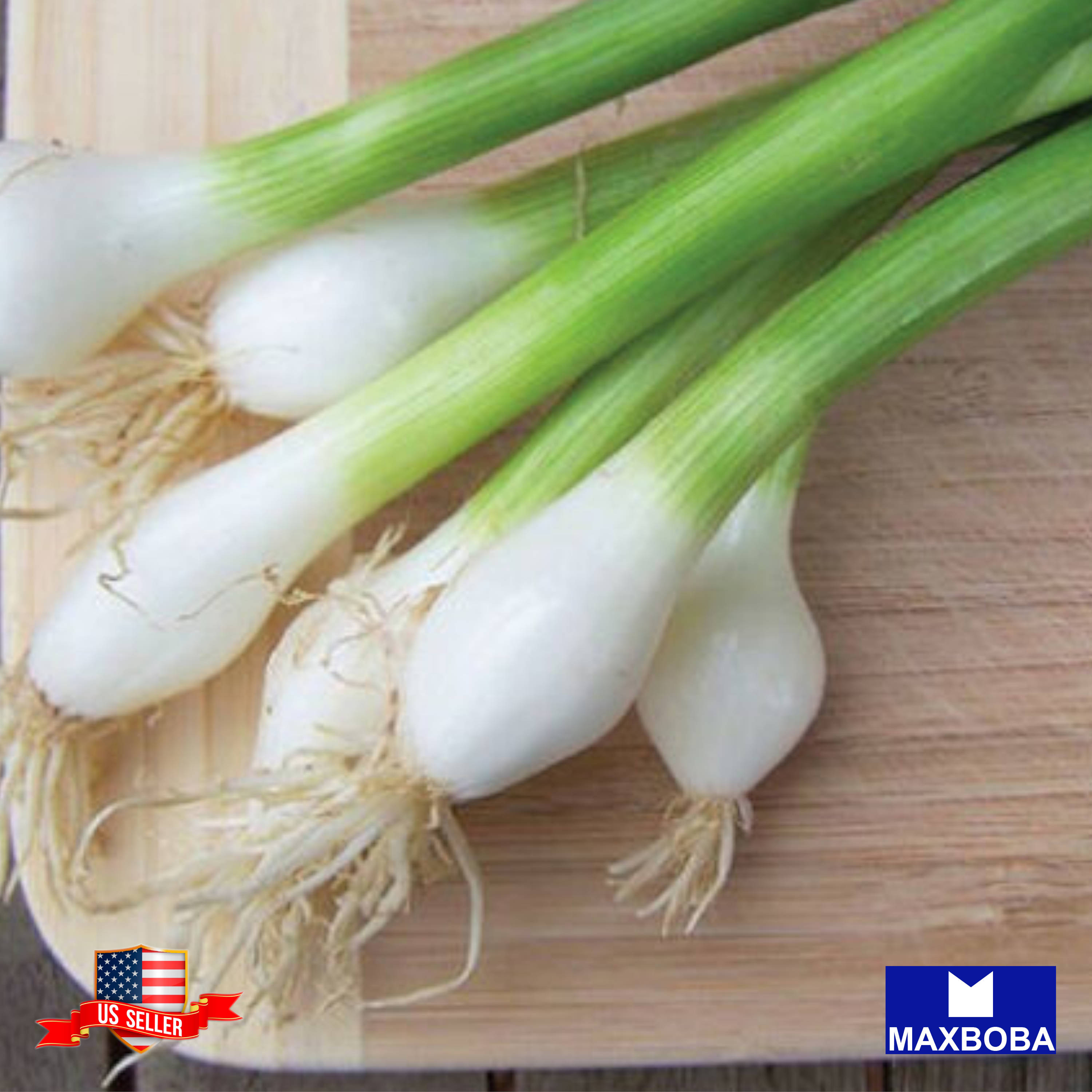 Fresh!! Onion Seeds Non-GMO Heirloom Vegetable - Picture 23 of 25