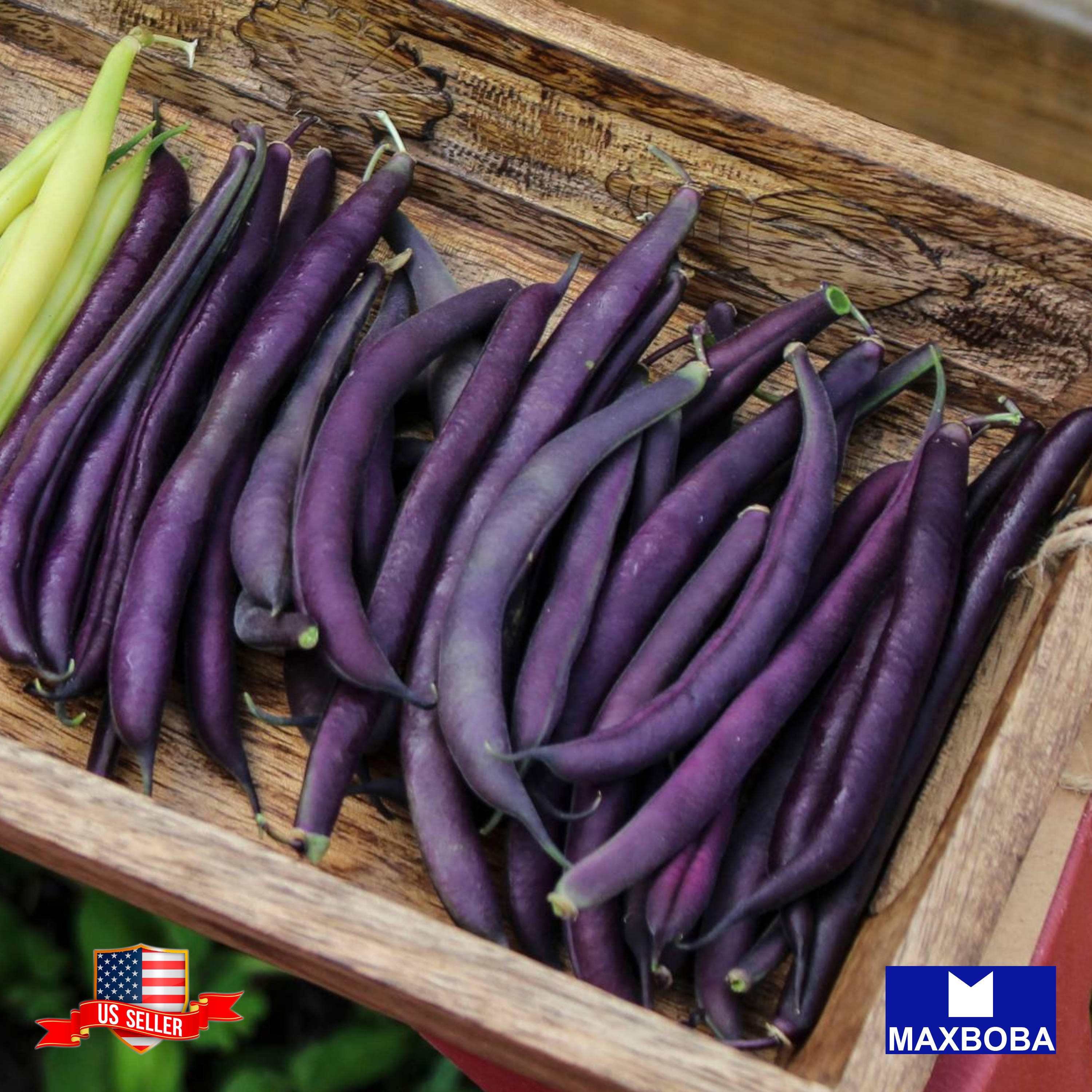Fresh!! Bean Seeds Non-GMO Heirloom Vegetable - Picture 28 of 31