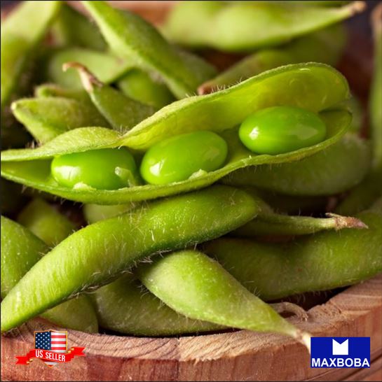 Fresh!! Bean Seeds Non-GMO Heirloom Vegetable - Picture 30 of 31