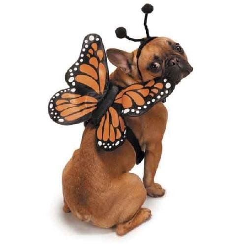 Schmetterling Glow Wings Geschirr Hundekostüm - Bild 3 von 3