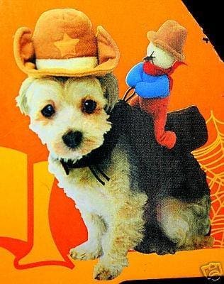 Cowboy Dog Costume - Bild 3 von 3