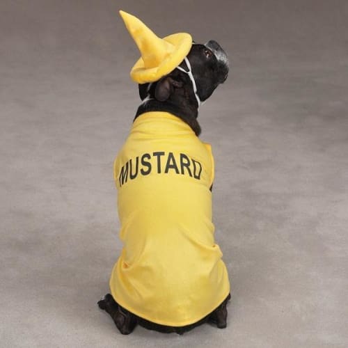 Senfhund Halloween Kostüm - Bild 4 von 4