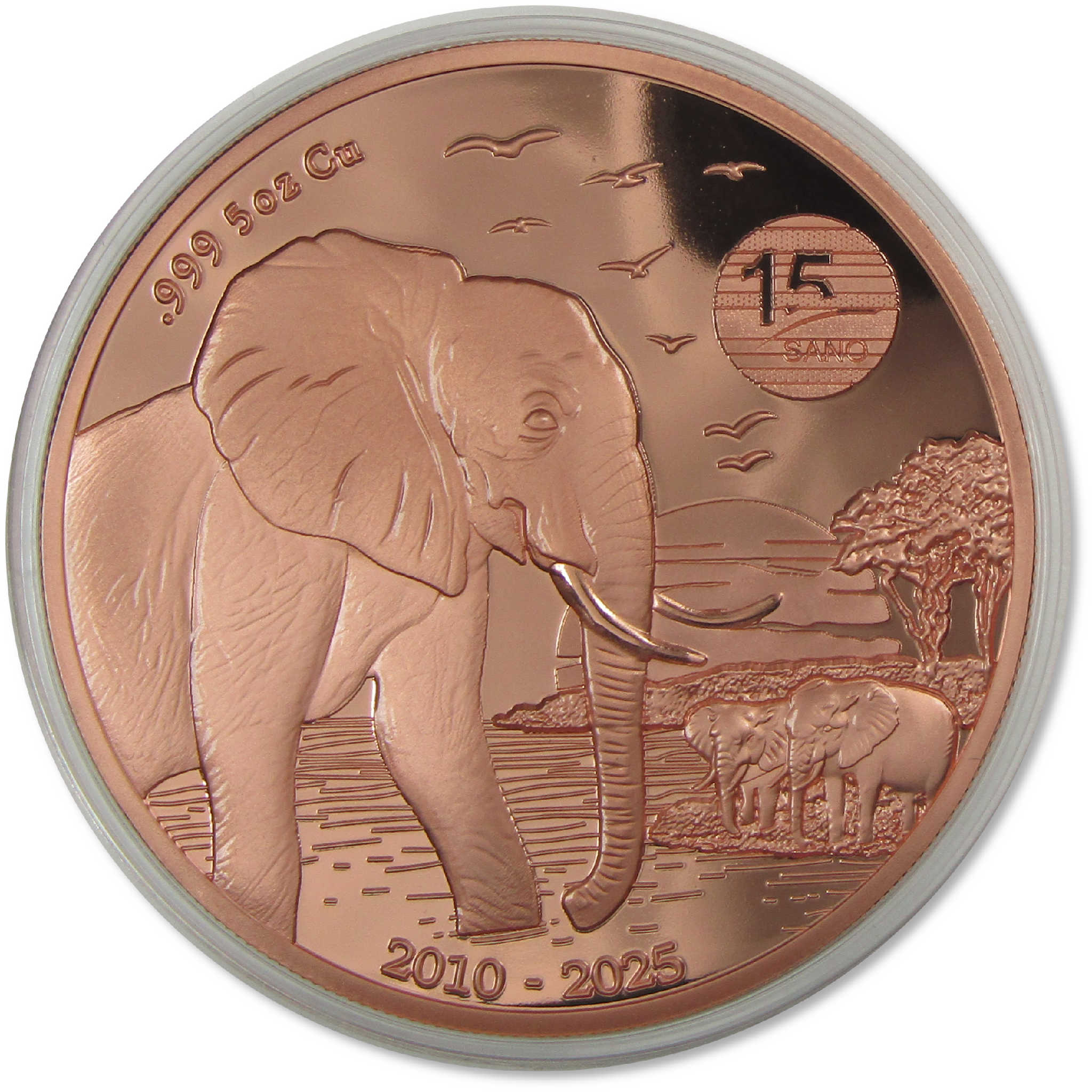 アクセサリー YON Nature Coin African Elephant LCOIN1S_K10YG_01_3000x_63832a7