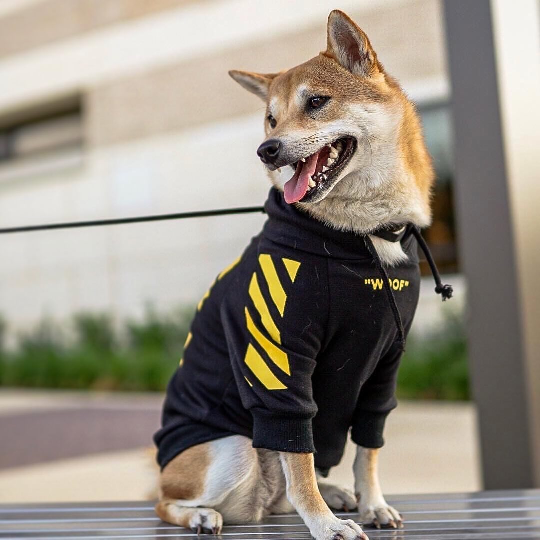 Woof Stylish Pet Hoodie - Picture 7 of 7
