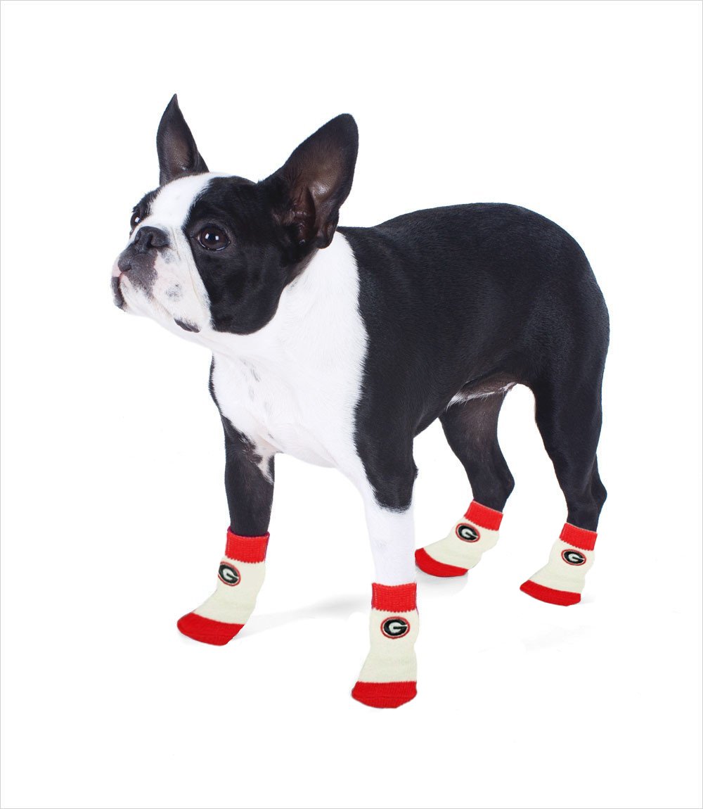 Team Paws NCAA College Team Fan NonSlip Dog Socks eBay