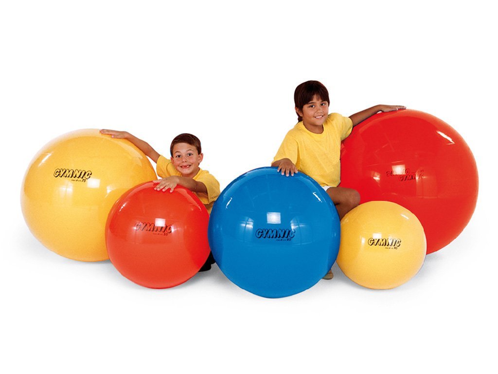 26 inch exercise ball
