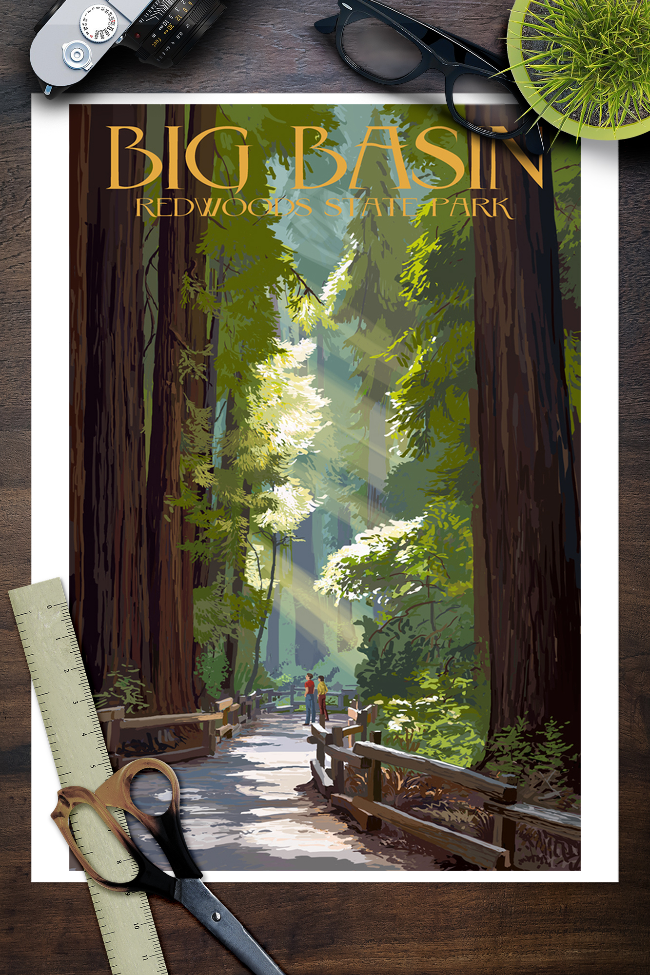 Big Basin Redwoods Ca Pathway In Trees Lp Artwork Posters Wood