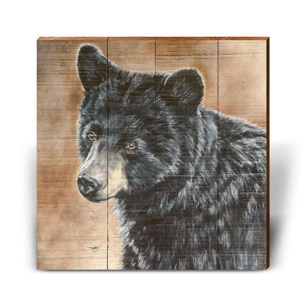 Bellissimo orso - Foto 8 di 10