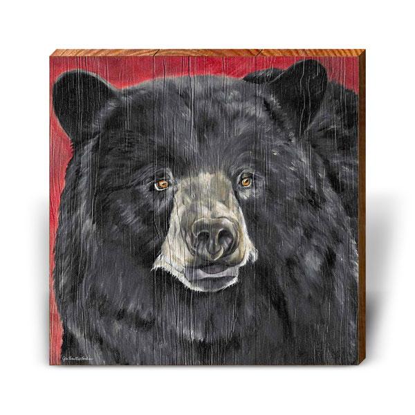 Purpurbär - Bild 8 von 10