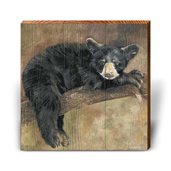 Curious Cub - Bild 8 von 10