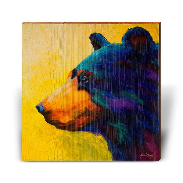 Hübscher Bär - Bild 7 von 10