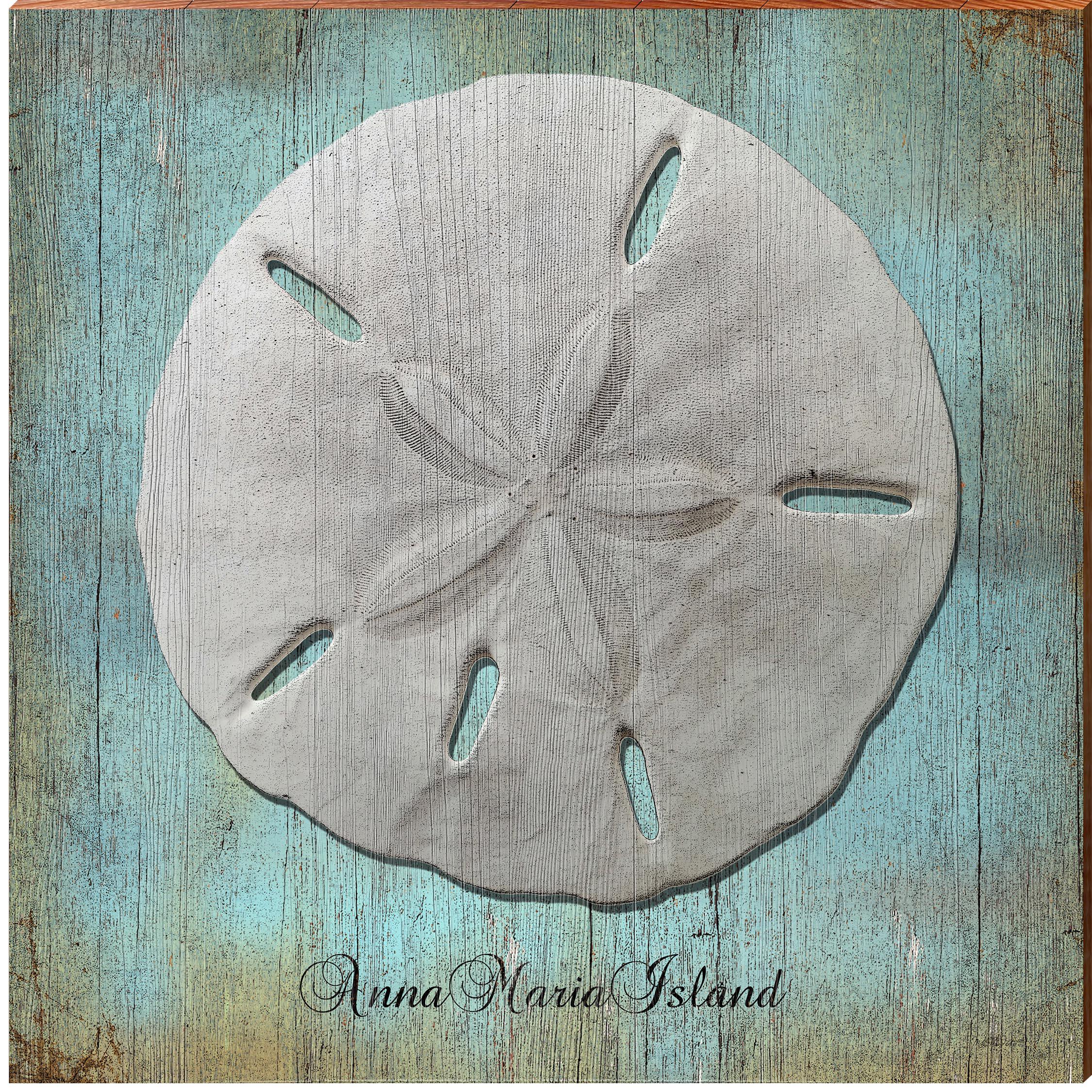 Anna Maria Island Sand Dollar SAN1 - Picture 3 of 6